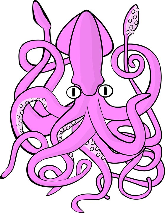 squidLogo